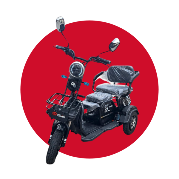 TRICICLO ELECTRICO MODELO OYB-1411 800W
