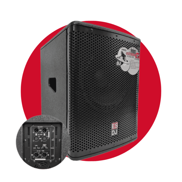 BAJO AMPLIFICADO ENGLAND SOUND POWERMAX 12"