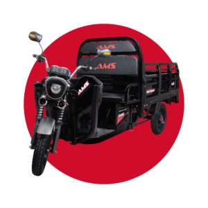Triciclo Eléctrico CARGO 1000 W