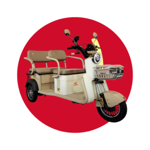 TRICICLO ELÉCTRICO 2 ASIENTOS
