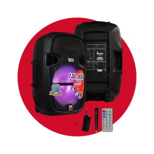 CAJA AMPLIFICADA ENGLAND SOUND 15"