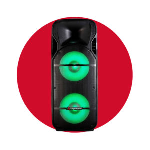 CAJA AMPLIFICADA ELITE TWO PLAY 300W