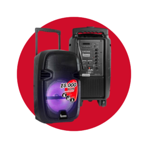 PARLANTE ENGLAND SOUND CON BATERIA 10"