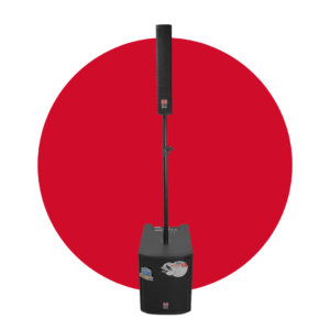 Subwoofer Activo ENGLAND SOUND ES-12SYS-DJ 400 watts RMS