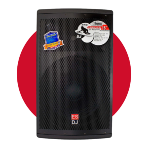 Parlante Profesional ENGLAND SOUND ES-BIG BOSS 15-DJ PRO 15" 350 watts RMS