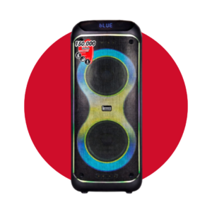 PARLANTE ENGLAND SOUND PARTY 210 CON BATERIA