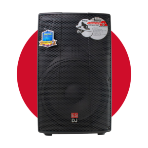 Parlante ENGLAND SOUND 15" 350 WATTS RMS ES-POWERMAX 15-DJ PRO