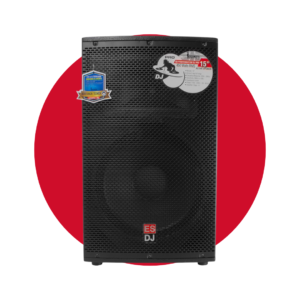 Parlante ENGLAND SOUND ES-POWERMAX 15W DJ PRO caja de madera 400 watts RMS