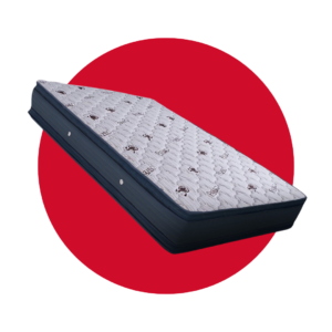 COLCHON ANIVERSARIO PARAISO DOBLE TOP 1-1/2 PLAZAS