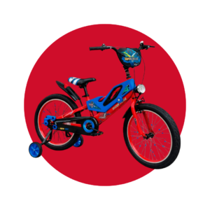 BICICLETA SKY RIDER ARO 20