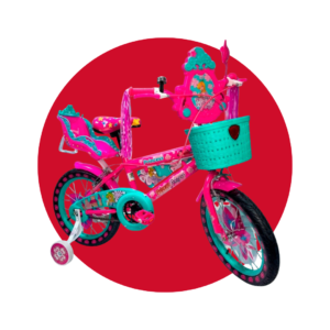 BICICLETA ARO 16 SR-2513